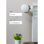 Thermostat Shelly SHELLY BLU TRV Blanc