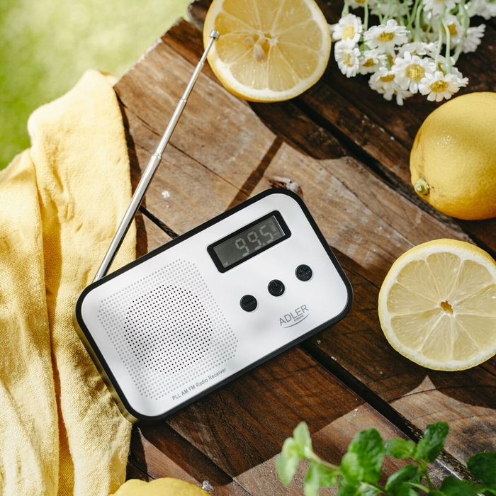 Adler Radio AD 1907 Adler Radio AD 1907