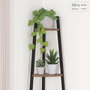 Max Home Étagère 4 Étagères Noir Fer et Bois MDF