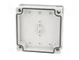 FIBOX MNX Boîtier Universel Gris 100x100x35mm IP66/IP67 IK08