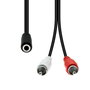 ProXtend Câble Mini-Jack 3-Pin vers 2 x RCA Femelle-Mâle Noir 20 cm - Connecteur Audio