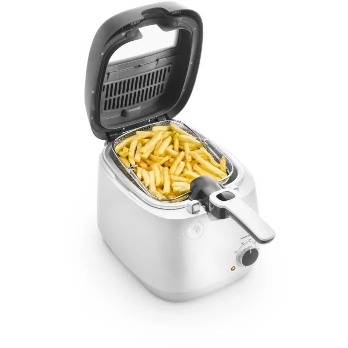 Delonghi FS6035 Friteuse 2.4L, 1700W, Capacité 1.5kg de frites, Thermostat Réglable, Cuve Amovible Antiadhésive, Hublot, Filtre Anti-Odeur, Parois Froides, Gris, 41.5 x 29 x 26 cm