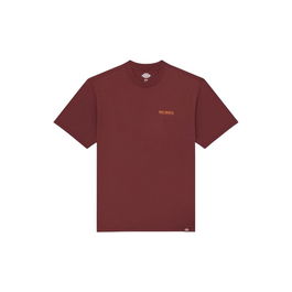 T-shirt à manches courtes homme Dickies Burns Marron 13-14 Ans