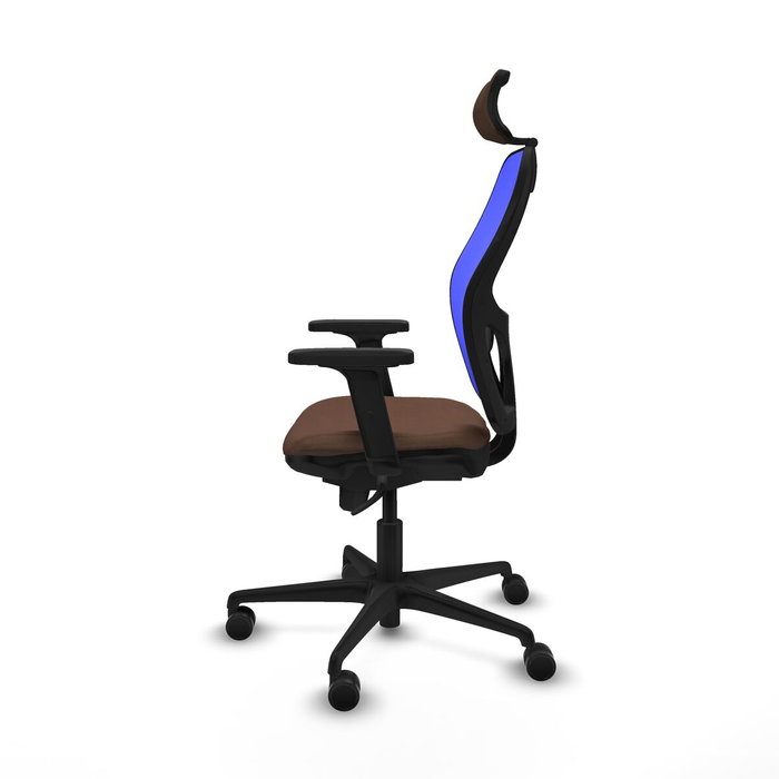 Piqueras y Crespo Chaise de Bureau 2D036N2 Bleu Brun foncé