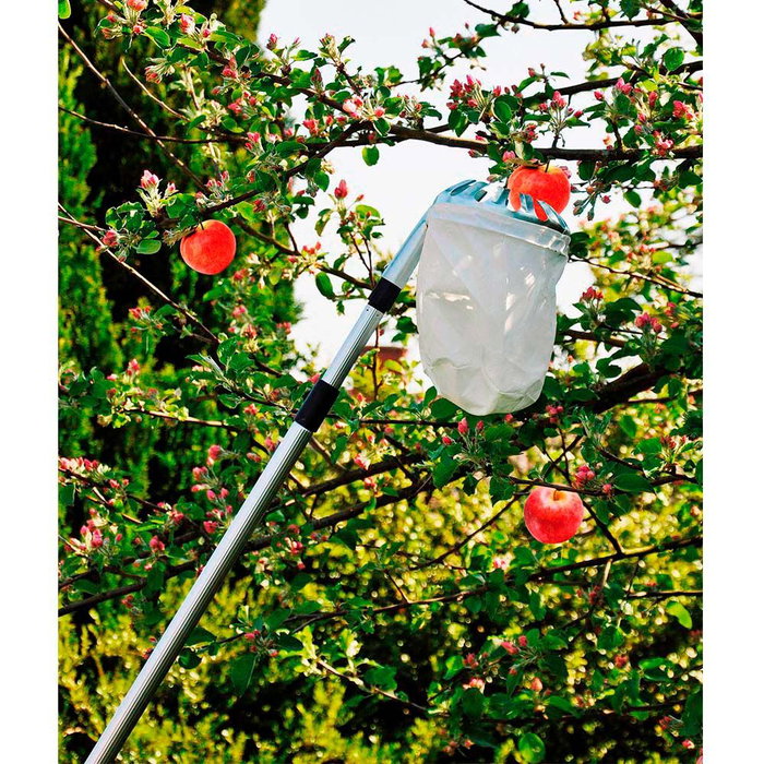 Grow Ramasseur de fruits télescopique extensible 130-240 cm