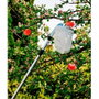 Grow Ramasseur de fruits télescopique extensible 130-240 cm
