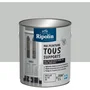 Ripolin Peinture Multi-Supports Gris Clair RAL 7035 Mat 2L - Application Directe Bois Fer Alu PVC Béton