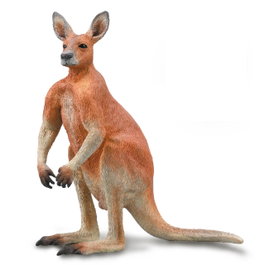 CollectA Kangourou roux mâle