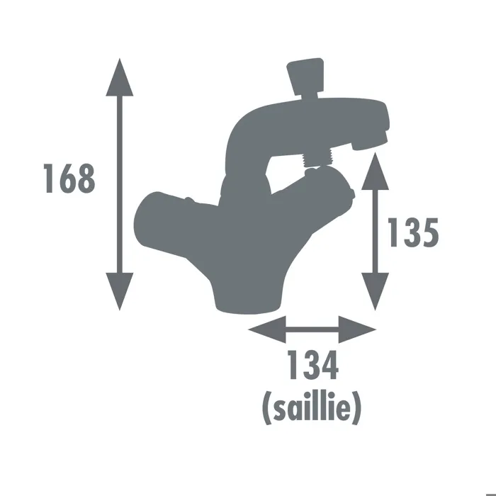 Edouard Rousseau Mitigeur Thermostatique Bain Douche VOLGA 2 Monotrou Chromé avec sécurité anti-brûlure 38°C et bouton éco-stop