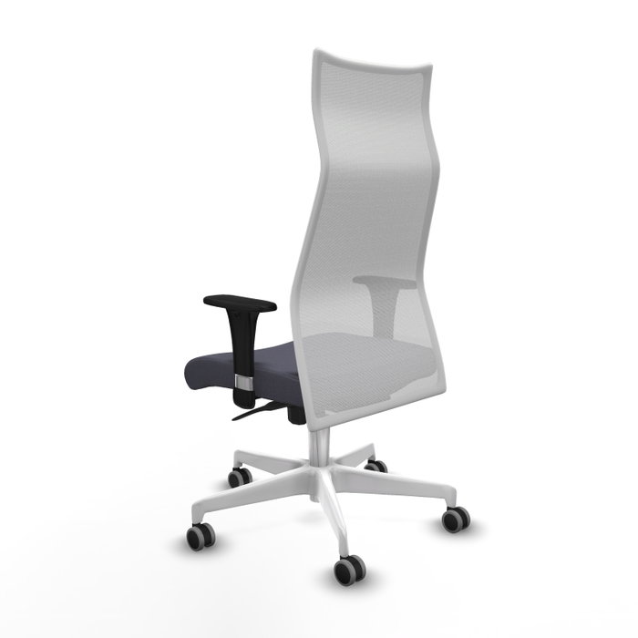Chaise de Bureau Albacete XL Piqueras y Crespo B1C026G Chaise de Bureau Albacete XL Piqueras y Crespo B1C026G