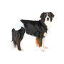 Trixie Couches pour Chien M/L, 12 Unités