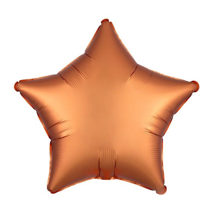 Party Time Lot de 4 ballons thème savane Party Time Lot de 4 ballons thème savane