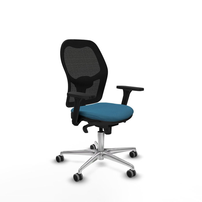 Piqueras y Crespo Chaise de Bureau Jorquera 3D086G0 Noir Vert pétrole Piqueras y Crespo Chaise de Bureau Jorquera 3D086G0 Noir Vert pétrole