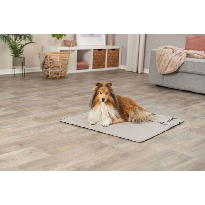 Couverture pour animaux de compagnie Trixie CityStyle Gris clair Polyester Polyuréthane Cuir synthétoqie 80 × 80 cm Couverture pour animaux de compagnie Trixie CityStyle Gris clair Polyester Polyuréthane Cuir synthétoqie 80 × 80 cm