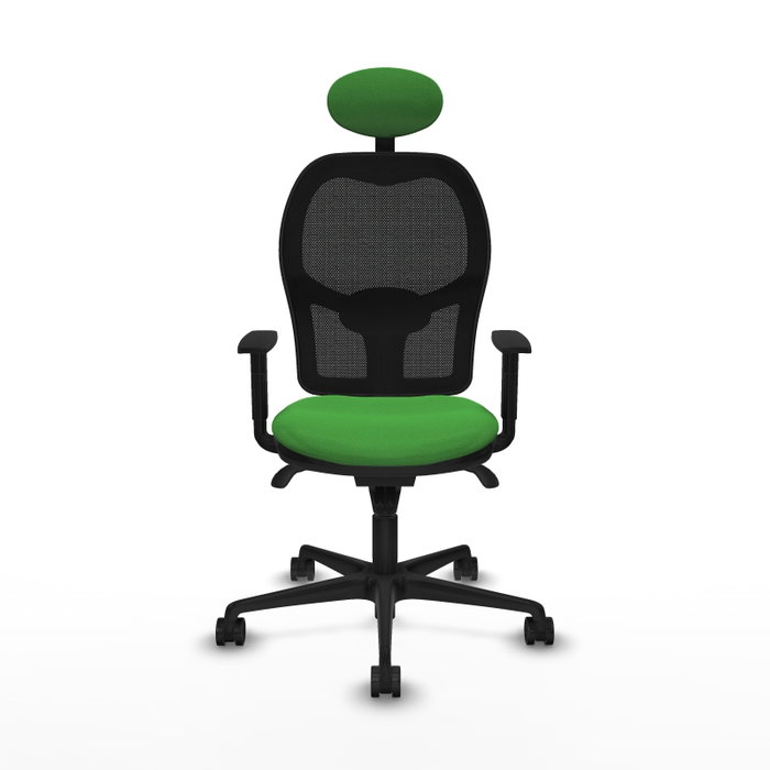 Chaise de Bureau Piqueras y Crespo 1D036N1 Vert