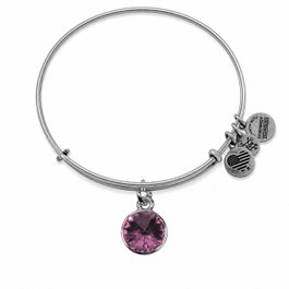 Alex And Ani Bracelet Morado Ajustable