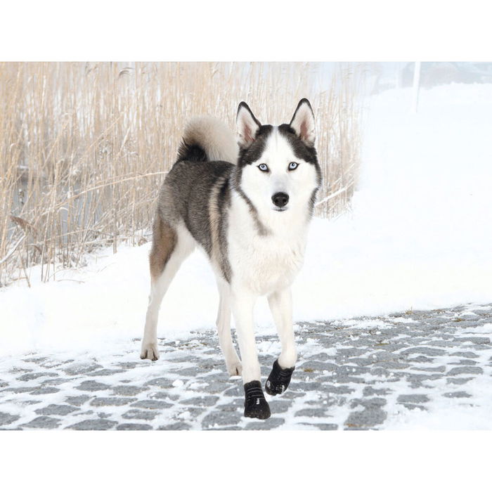 Bottes Trixie Noir L/XL