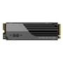 Silicon Power XS70 SSD 2TB NVMe PCIe Gen 4x4 Interne M.2 Disque Dur Solide avec Dissipateur Thermique