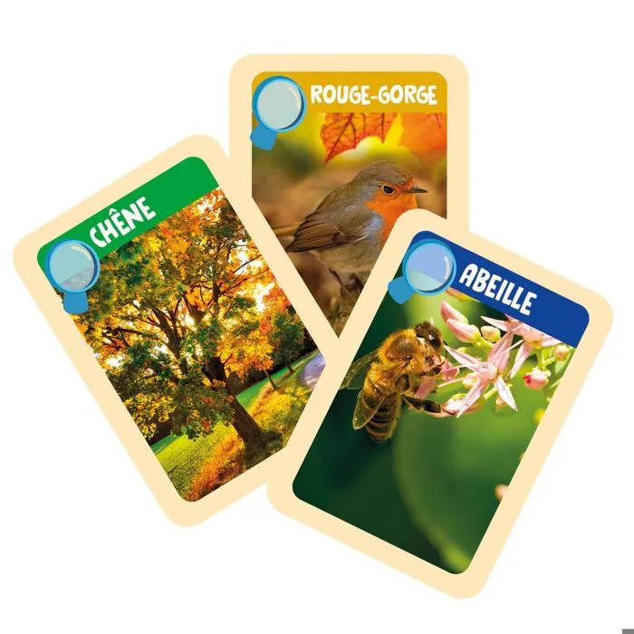 Clementoni - Les Apprentis Explorateurs - Coffret de Découverte avec Jumelles, Loupe, Moule à Empreintes et Plâtre - Jeu Éducatif Scientifique