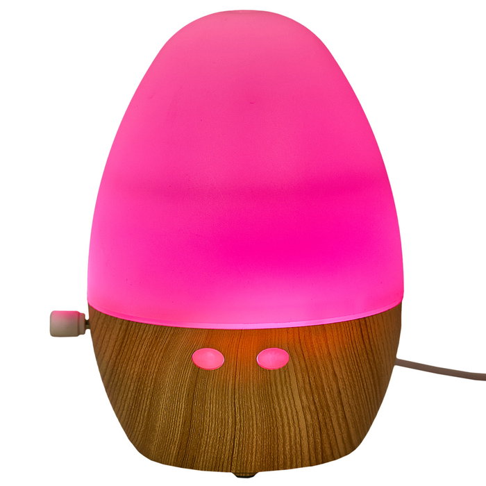 Home Deco Factory Diffuseur LED USB 130 ml