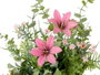 IBERGARDEN Planta Saco Flores Grande Surt 3 Colores