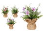 IBERGARDEN Planta Saco Flores Grande Surt 3 Colores