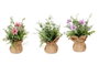 IBERGARDEN Planta Saco Flores Grande Surt 3 Colores