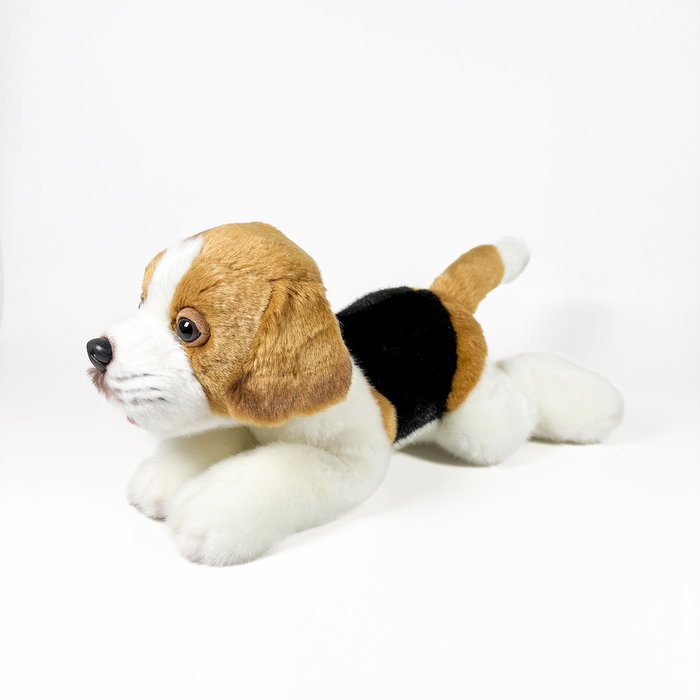 Bocalán Peluche Beagle Tumbado 25cm Chien en Peluche Licencia BOCALAN Deqube +0 Mois Bocalán Peluche Beagle Tumbado 25cm Chien en Peluche Licencia BOCALAN Deqube +0 Mois