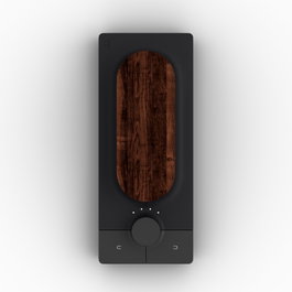 Expressive E Touché Contrôleur USB/CV avec Capteur Tactile en Bois et 250 Presets