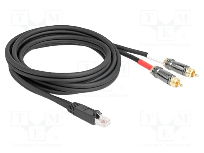 DELOCK Adaptateur RCA x2 vers RJ45 2m DELOCK Adaptateur RCA x2 vers RJ45 2m