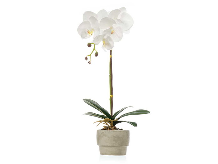 Ibergarden Orquidea Maceta Cemento Blanca 1 Vara 18x43x18 cm Pot Plastique Métal Pierre Blanc (Set de 8) Ibergarden Orquidea Maceta Cemento Blanca 1 Vara 18x43x18 cm Pot Plastique Métal Pierre Blanc (Set de 8)
