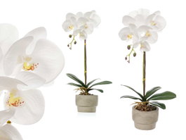 Ibergarden Orquidea Maceta Cemento Blanca 1 Vara 18x43x18 cm Pot Plastique Métal Pierre Blanc (Set de 8)