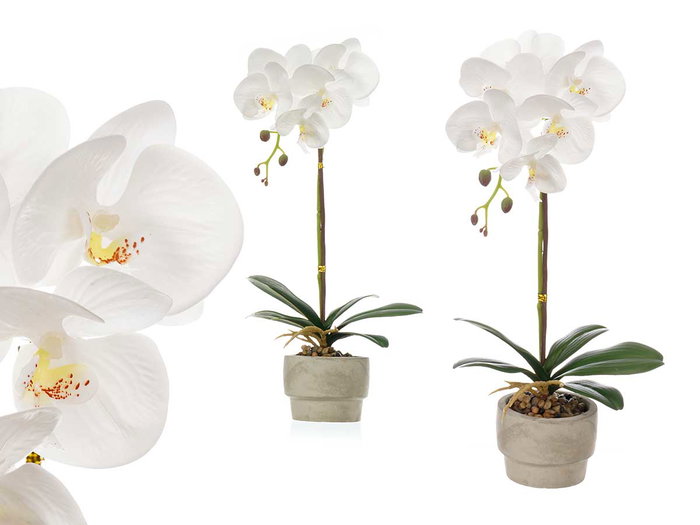 Ibergarden Orquidea Maceta Cemento Blanca 1 Vara 18x43x18 cm Pot Plastique Métal Pierre Blanc (Set de 8) Ibergarden Orquidea Maceta Cemento Blanca 1 Vara 18x43x18 cm Pot Plastique Métal Pierre Blanc (Set de 8)