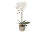 Ibergarden Orquidea Maceta Cemento Blanca 1 Vara 18x43x18 cm Pot Plastique Métal Pierre Blanc (Set de 8)