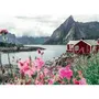 Ravensburger Puzzle 1000 Pièces 12000112 - Lofoten en Norvège, Collection Highlights, pour Adultes et Enfants à partir de 14 Ans
