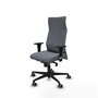 Piqueras Y Crespo Fauteuil Albacete, Gris, Mécanisme Synchrone