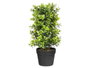 Ibergarden Maceta Planta Verde Piedra 48 cm Pot Plastique Effet Pierre 30x50x30 cm (Set de 6)