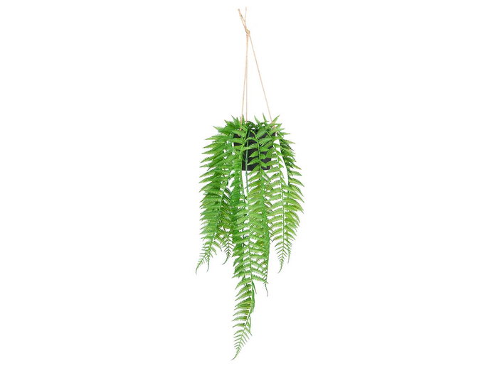 IBERGARDEN Plante Fougère Suspendue 30x55x10 cm Plastique Vert/Noir (Set de 18)