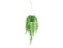 IBERGARDEN Plante Fougère Suspendue 30x55x10 cm Plastique Vert/Noir (Set de 18)