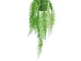 IBERGARDEN Plante Fougère Suspendue 30x55x10 cm Plastique Vert/Noir (Set de 18)