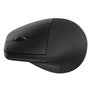 HP Souris sans fil ergonomique 920 Noir