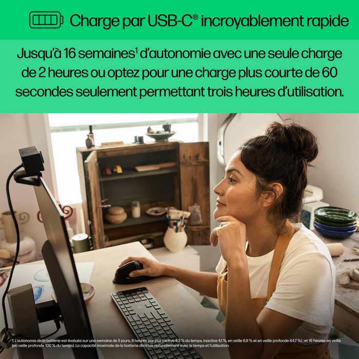 HP Souris Ergonmique Verticale Sans Fil 920 avec Repose-Poignet Magnétique et Récepteur USB - 5 Boutons Personnalisables