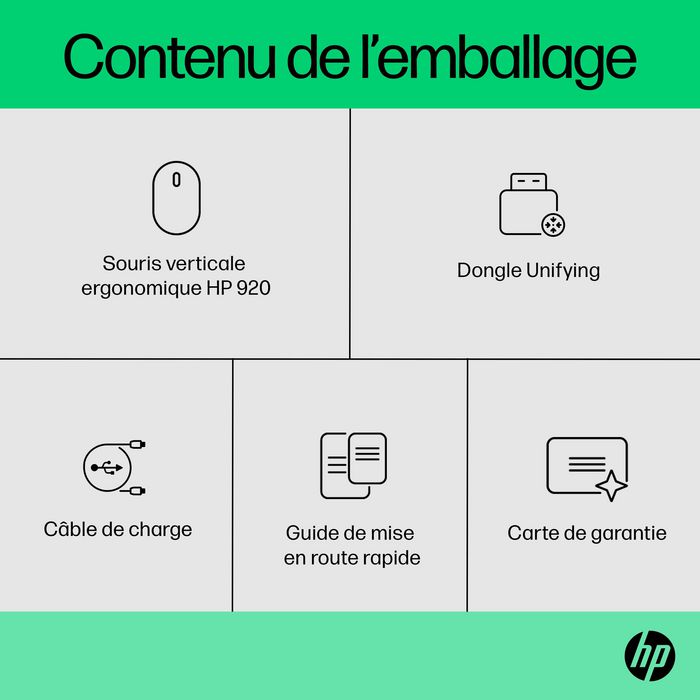 HP Souris Ergonmique Verticale Sans Fil 920 avec Repose-Poignet Magnétique et Récepteur USB - 5 Boutons Personnalisables