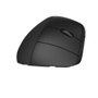 HP Souris sans fil ergonomique 920 Noir