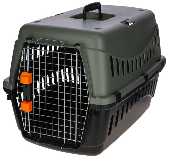 Kerbl Box de transport Eco Gris/vert 58 × 38 × 38 cm Kerbl Box de transport Eco Gris/vert 58 × 38 × 38 cm