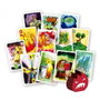 Devir Jeu de Cartes Sylvion - Tower Defense Coopératif - 1 à 2 Joueurs - Version Espagnole - À partir de 10 Ans - 30 Min