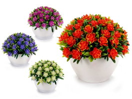 IBERGARDEN Plan de fleurs de trèfle assorti 4 couleurs (Lot de 24)