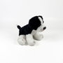 Deqube Peluche Border Collie Assis 12cm Licence Bocalan