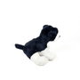 Deqube Peluche Border Collie Assis 12cm Licence Bocalan