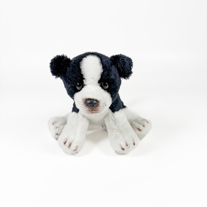 Deqube Peluche Border Collie Assis 12cm Licence Bocalan Deqube Peluche Border Collie Assis 12cm Licence Bocalan